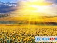 昆明中考成績出來了嗎