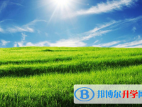 昆明中考預估重點線