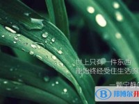 西安中考查詢成績網(wǎng)址