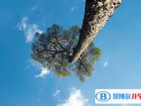 2020年貴陽(yáng)中考成績(jī)?cè)鯓硬樵? /><b>2020年貴陽(yáng)中考成績(jī)?cè)鯓硬樵?/b><span>2019-10-18 11:49</span><p>為夢(mèng)想奮斗海闊憑魚(yú)躍，天高任鳥(niǎo)飛。每個(gè)人都擁有著一個(gè)屬于自己的夢(mèng)想。有夢(mèng)想就要去實(shí)現(xiàn)它，別讓夢(mèng)想在以后成為遺憾。實(shí)現(xiàn)夢(mèng)想</p></a></h3></li>
</ul>
<div   id=
