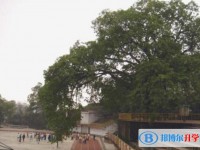 重慶長生橋中學校2025年招生計劃
