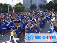 楚雄州永仁縣永仁一中2023年招生錄取分數線