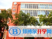師大附屬世紀金源學(xué)校2025年招生計劃