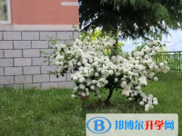 維西縣第一中學2025年招生計劃