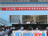 文山州第一中學2023年招生錄取分數線