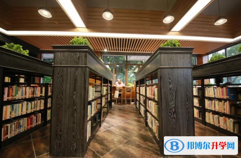 2020年南充中考上的學校
