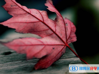2020年巴中中考網(wǎng)絡(luò)應(yīng)用服務(wù)平臺(tái)