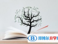 2020年巴中中考成績如何查詢