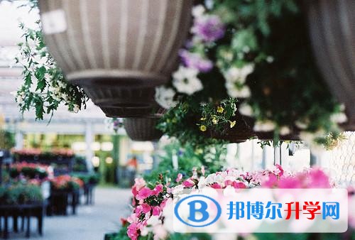 2020年巴中中考準考證丟了怎么辦