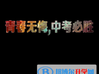 2020年巴中中考網錄取系統