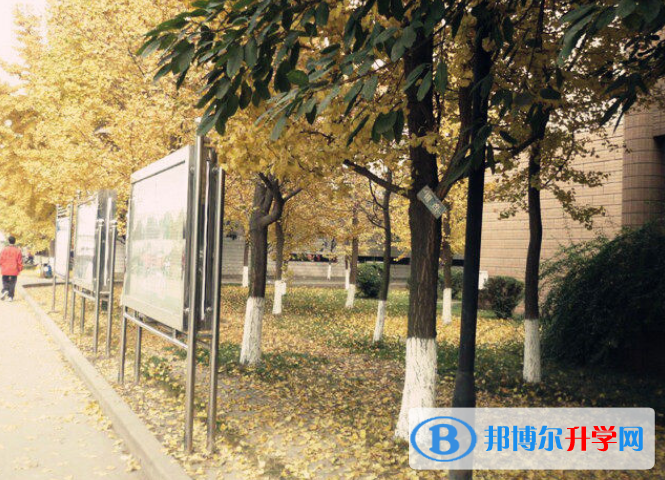 成都大彎中學(xué)2022年報(bào)名條件、招生要求、招生對象