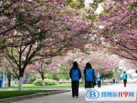 成都大彎中學網(wǎng)站網(wǎng)址主頁