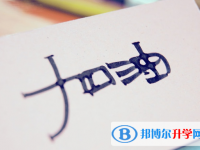 2020年巴中中考報名服務(wù)平臺
