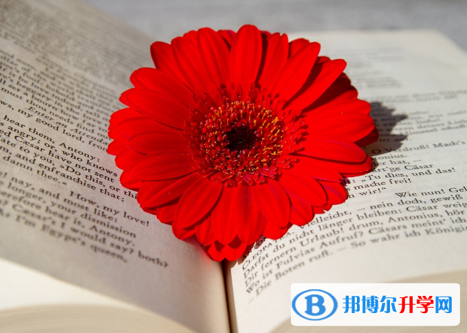 2020年達州中考報名查詢