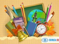 2020年達州中考報名網站
