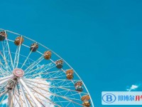 2020年達(dá)州中考信息服務(wù)平臺(tái)