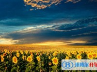 2020年達州中考藝體時間