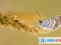 2020年達州中考在哪里查詢