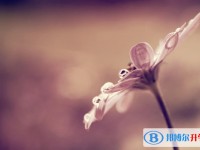 2020年達州中考招辦電話