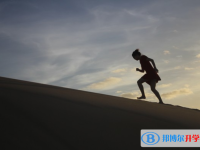 2020年達州中考查詢