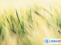 2020年達州中考志愿最好怎樣填