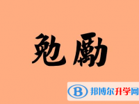 2020年達州中考453可以讀哪些學校