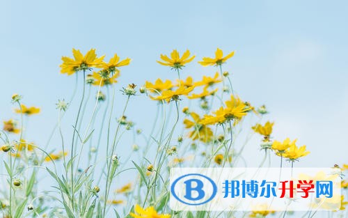 2020年達州中考報名服務平臺