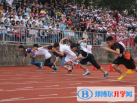 成都第二十四中學(xué)網(wǎng)站網(wǎng)址主頁(yè)