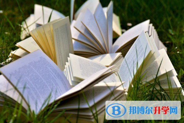 2020年內江中考錄取情況