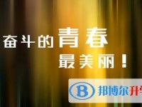 2020年內江中考重點復習