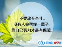 2020年內江中考自主招生情況