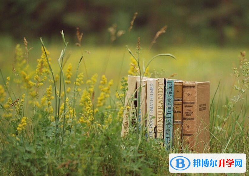 2020年內江中考網(wǎng)上報名系統(tǒng)