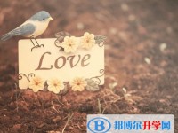 2020年內江中考372可以讀的學校