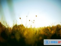 2020年內(nèi)江中考沒考好可以復讀嗎