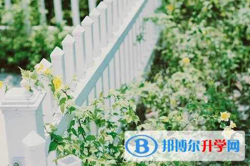 2020年內江中考報名網址