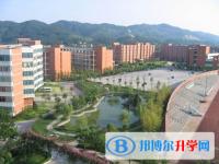 四川瀘州第二中學2025年招生簡章