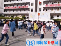 樂至大佛中學2025年學費、收費多少