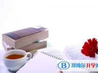 2020年自貢中考準考證丟了怎么辦