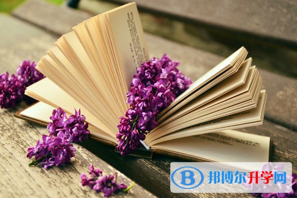 自貢中考是多少科