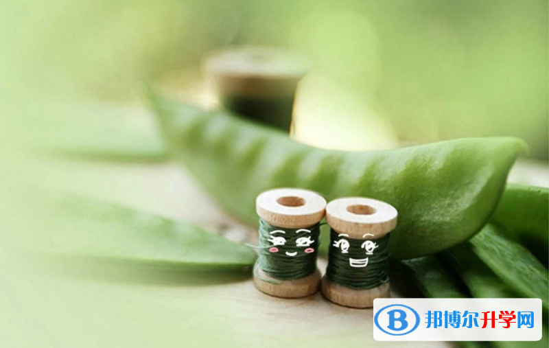 2020年樂山中考成績什么時候公布