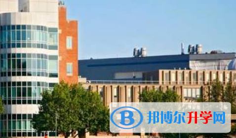 香港猶太教國際學校2023年報名條件、招生要求、招生對象