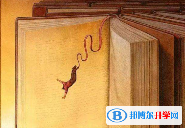 2020年樂山中考重點復習資料