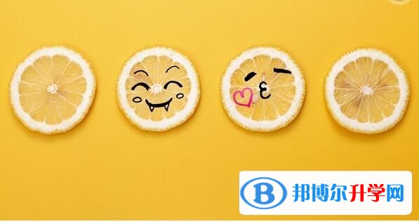 2020年樂山中考重點復習