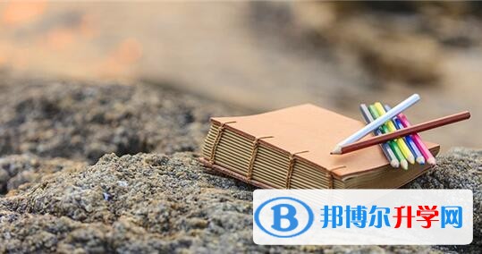 2020年樂山中考招生學校