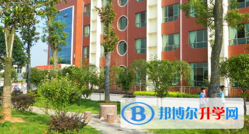 香港鲗魚涌小學(xué)2023年招生計劃