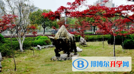 香港鰂魚涌小學怎么樣、好不好