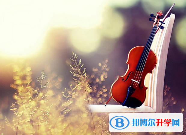 2020年樂(lè)山中考報(bào)考志愿表