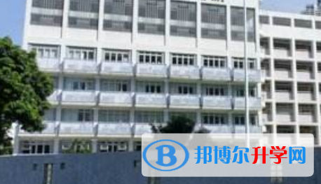 香港沙田小學2023年招生辦聯系電話