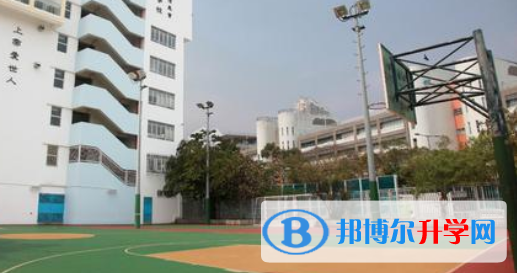 香港沙田小學網站網址 