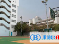 香港沙田小學網站網址